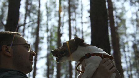 Similar image 22481750