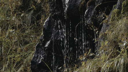 Similar image 22481826