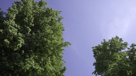 Similar image 22481840