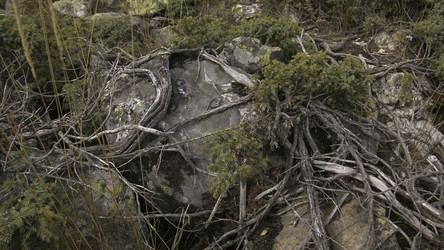 Similar image 22481975