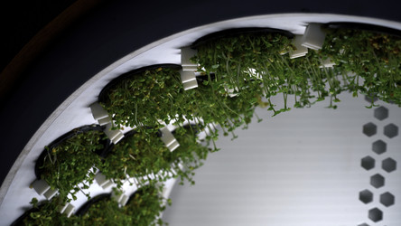 Similar image 22482081