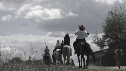 Similar image 22482379