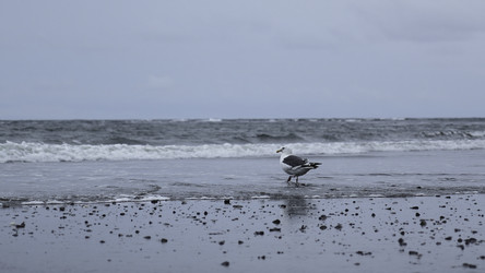 Similar image 22482423