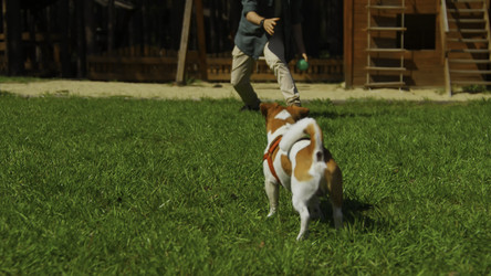 Similar image 22482812