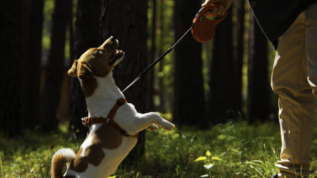 Similar image 22482826