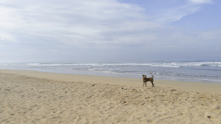 Similar image 22482870