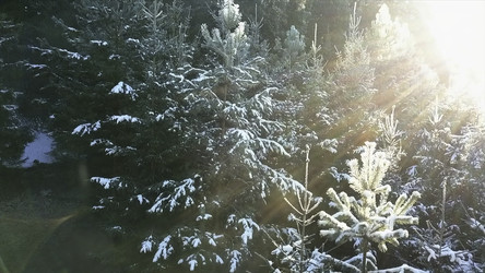 Similar image 22482964