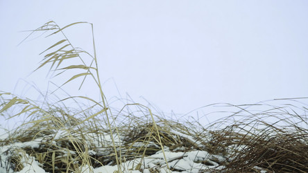 Similar image 22482991