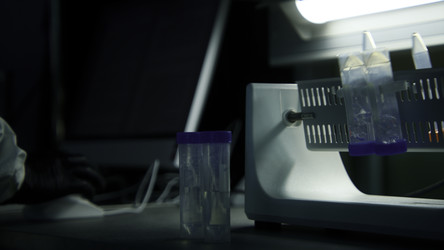 Similar image 22483038