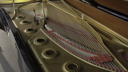 Similar image 22483112