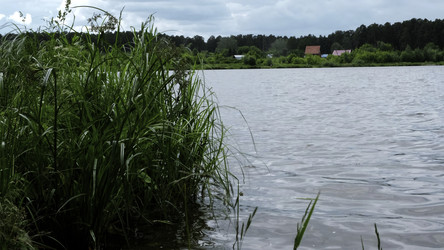 Similar image 22483182