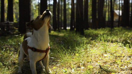 Similar image 22481166