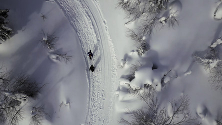 Similar image 22481751