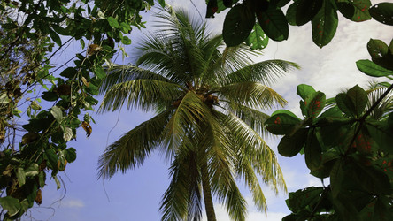 Similar image 22482364