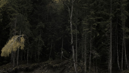 Similar image 22482409