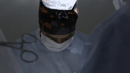 Similar image 22482439