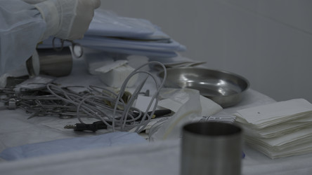 Similar image 22482544