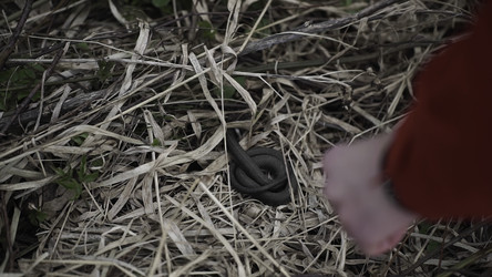 Similar image 22482559