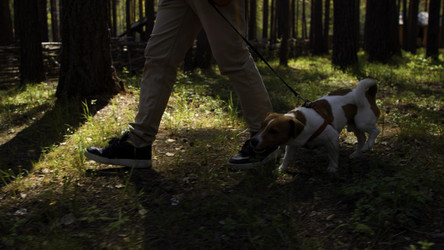 Similar image 22482693