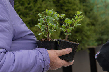 Similar image 22482754