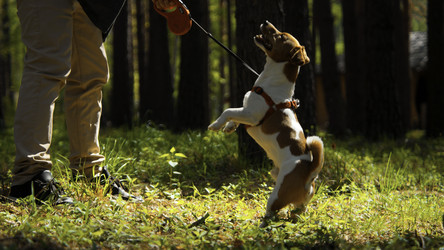 Similar image 22482874