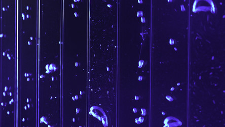 Similar image 22483024