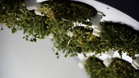 Similar image 22483069