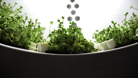 Similar image 22483377