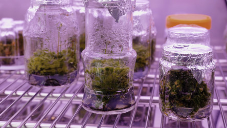 Similar image 22481092