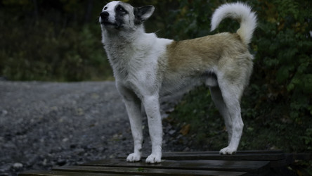 Similar image 22481212