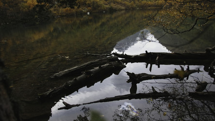 Similar image 22481227