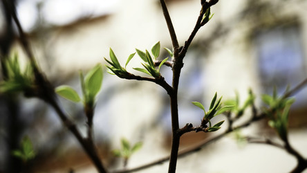 Similar image 22483227