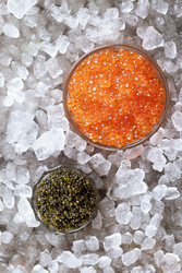 Similar image 22501957