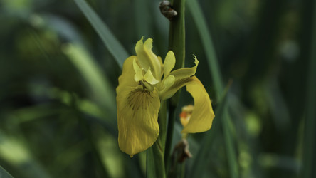 Similar image 22483199