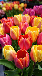 Similar image 22484167