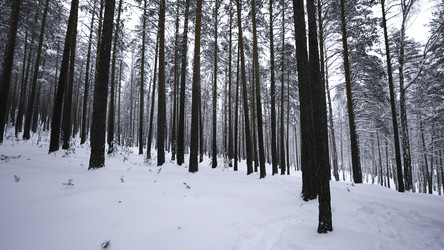 Similar image 22483229