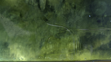 Similar image 22483437