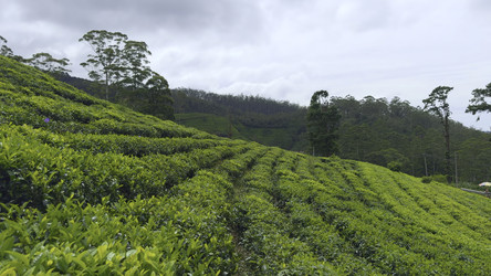 Similar image 22483349