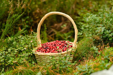 Similar image 22490139