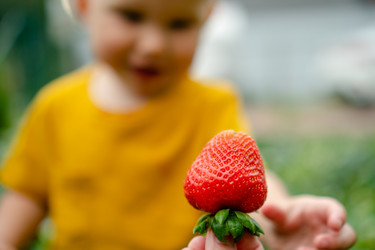 Similar image 22490155