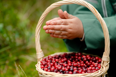 Similar image 22490158