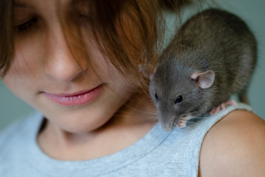 Similar image 22490160