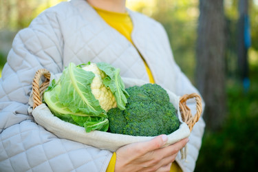 Similar image 22490169