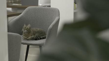 Similar image 22483380