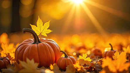 Similar image 22485803