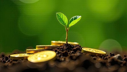 Similar image 22483658