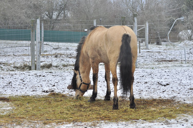 Similar image 22581584