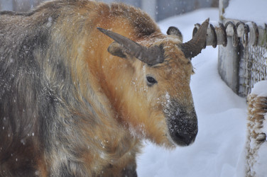 Similar image 22581586