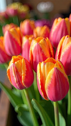 Similar image 22483676