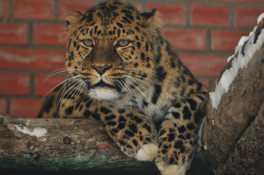 Similar image 22581587